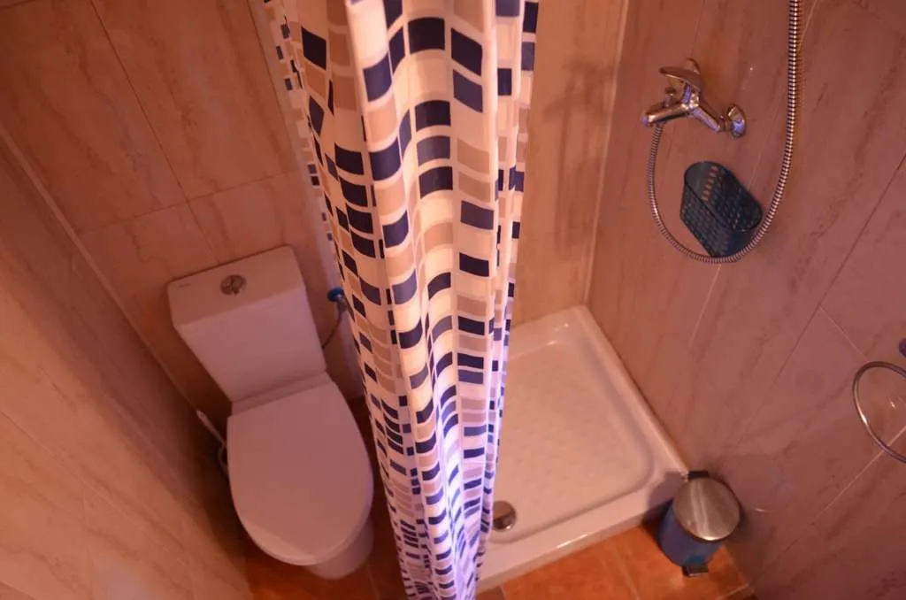 Baño completo de la casita de madera con ducha